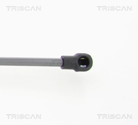 Gas Spring, boot/cargo area