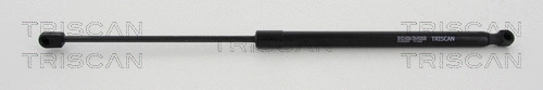 Gas Spring, boot/cargo area (8710 292020)