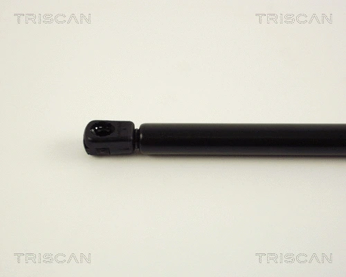 Gas Spring, boot/cargo area