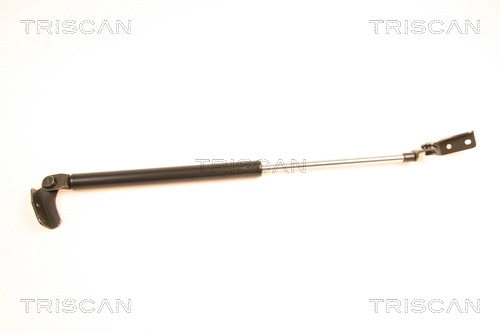 Gas Spring, boot/cargo area (8710 50233)