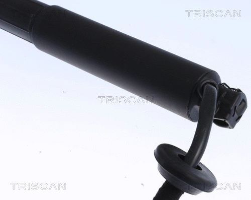 Gas Spring, boot/cargo area