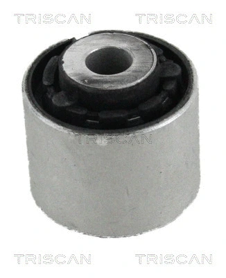 Mounting, control/trailing arm (8500 11896)