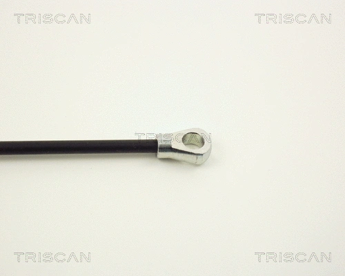 Gas Spring, boot/cargo area