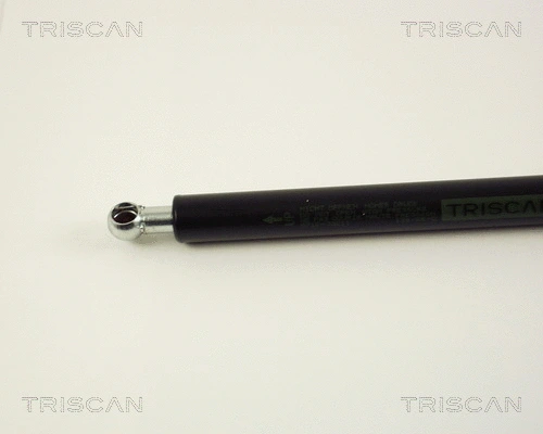 Gas Spring, boot/cargo area