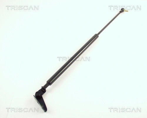 Gas Spring, boot/cargo area (8710 50206)