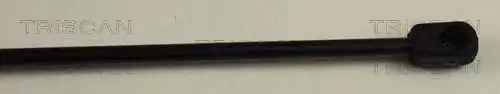 Gas Spring, boot/cargo area