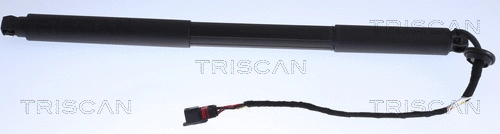 Gas Spring, boot/cargo area (8710 27301)