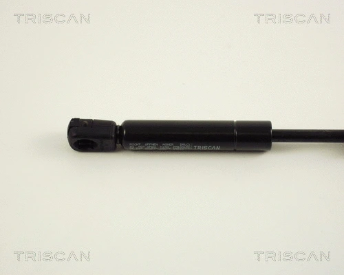 Gas Spring, boot/cargo area