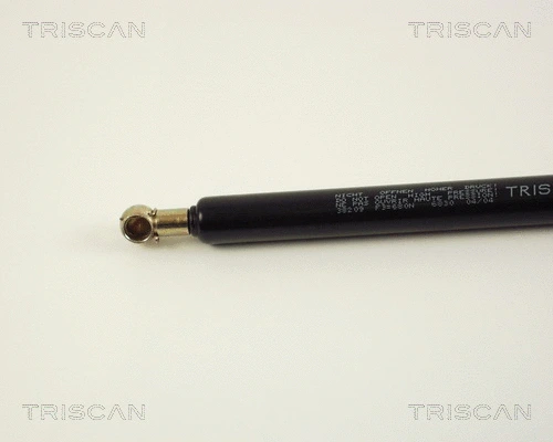 Gas Spring, boot/cargo area