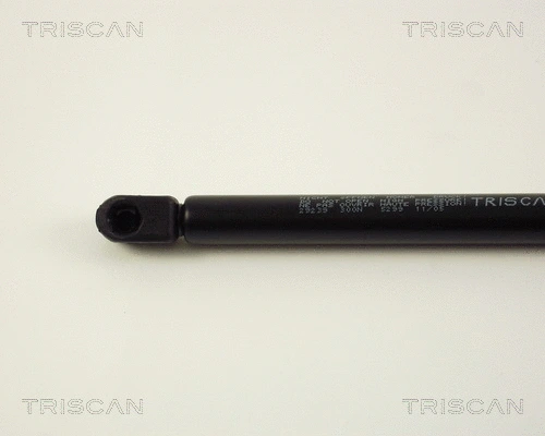 Gas Spring, boot/cargo area