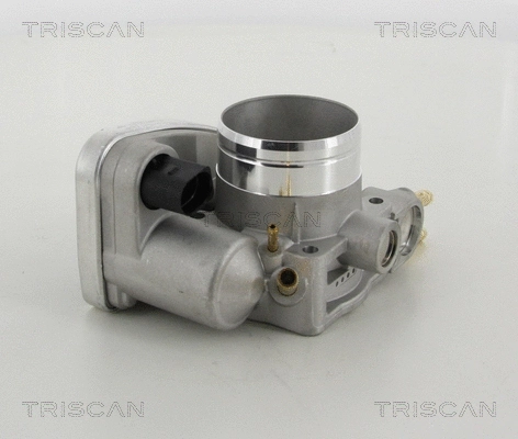 Throttle Body (8820 29005)