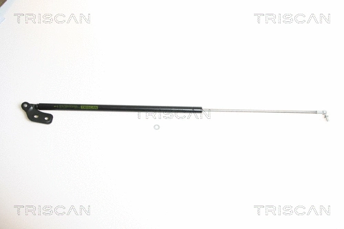 Gas Spring, boot/cargo area (8710 18210)