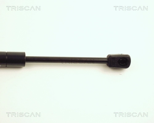 Gas Spring, bonnet