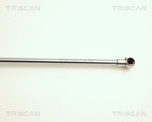 Gas Spring, boot/cargo area