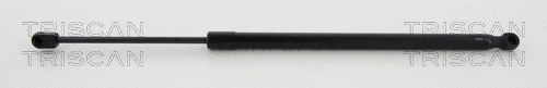 Gas Spring, boot/cargo area (8710 80213)
