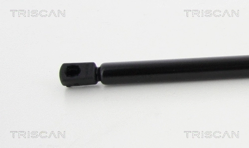 Gas Spring, boot/cargo area