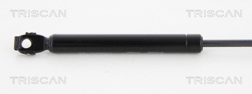 Gas Spring, boot/cargo area