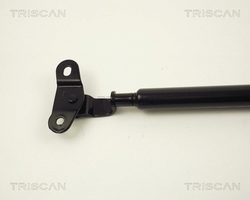 Gas Spring, boot/cargo area