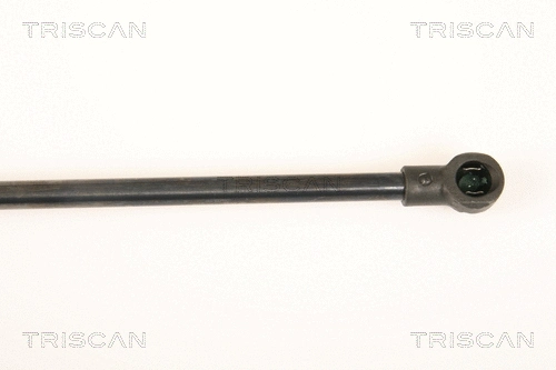 Gas Spring, boot/cargo area