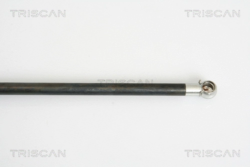 Gas Spring, boot/cargo area