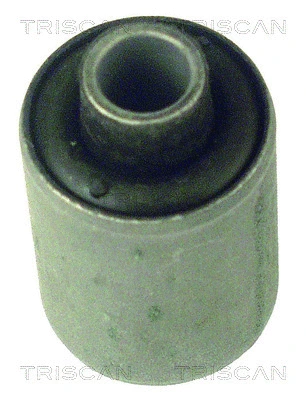 Mounting, control/trailing arm (8500 2724)