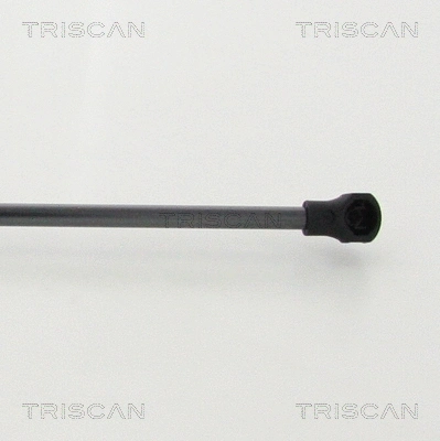 Gas Spring, boot/cargo area