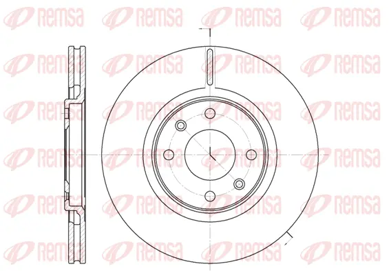 Brake Disc (6306 10)