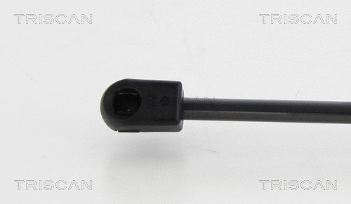 Gas Spring, boot/cargo area