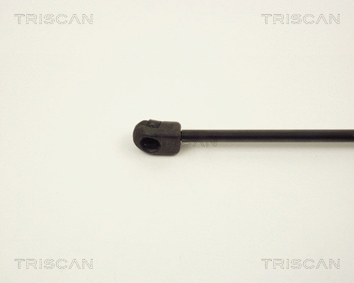 Gas Spring, boot/cargo area