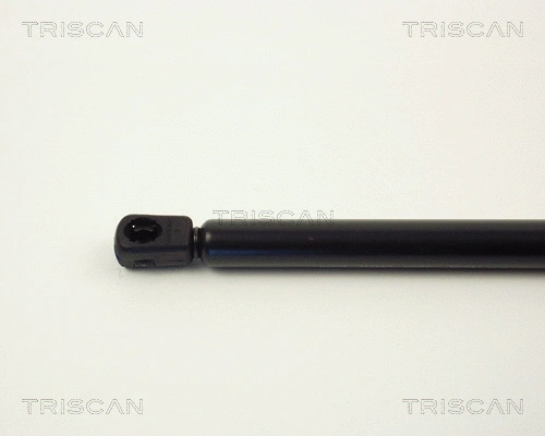 Gas Spring, boot/cargo area