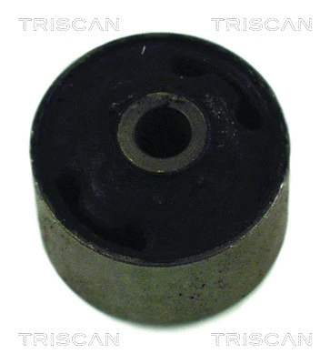 Bushing, axle beam (8500 29801)