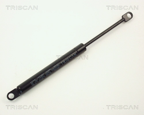Gas Spring, boot/cargo area (8710 1613)
