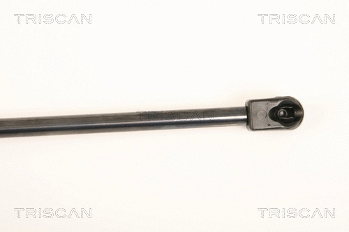 Gas Spring, boot/cargo area