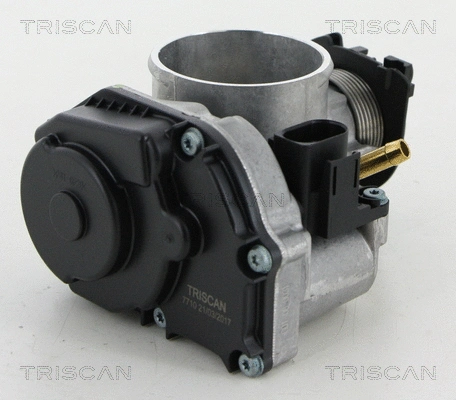 Throttle Body (8820 29016)
