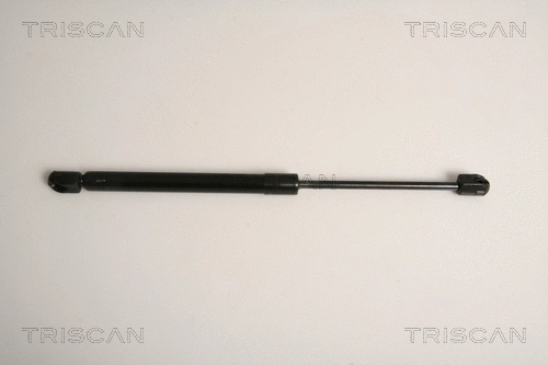 Gas Spring, boot/cargo area (8710 11234)