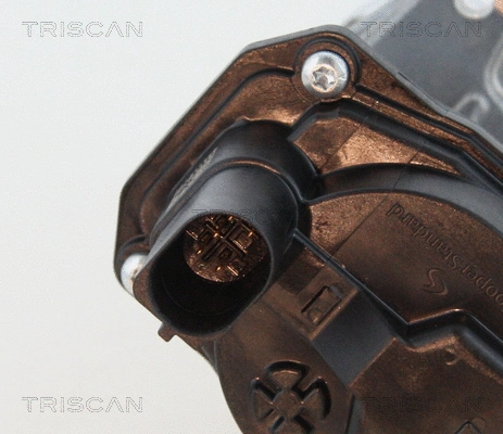EGR Valve