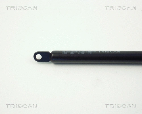 Gas Spring, boot/cargo area