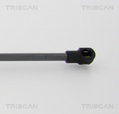 Gas Spring, rear window