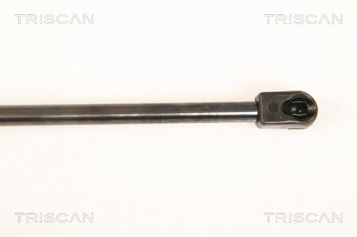 Gas Spring, boot/cargo area