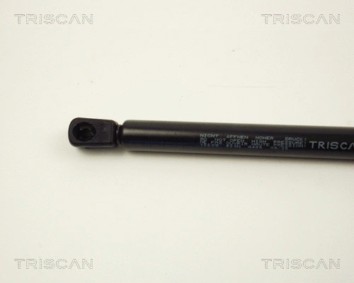 Gas Spring, boot/cargo area