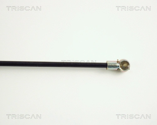 Gas Spring, boot/cargo area