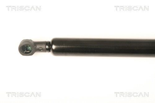 Gas Spring, boot/cargo area