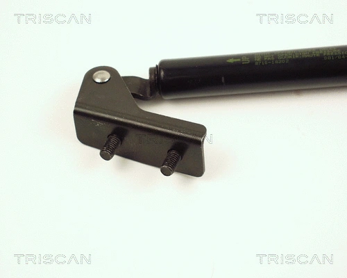 Gas Spring, boot/cargo area