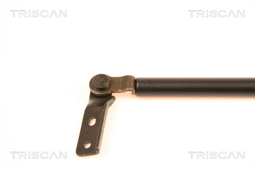 Gas Spring, boot/cargo area