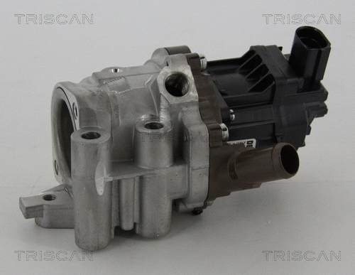 EGR Valve (8813 15207)