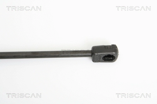 Gas Spring, boot/cargo area
