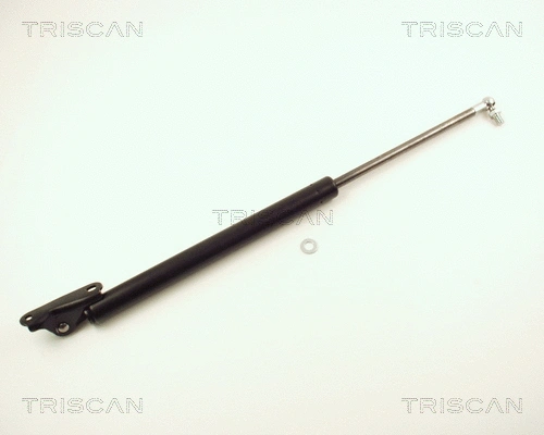 Gas Spring, boot/cargo area (8710 13255)