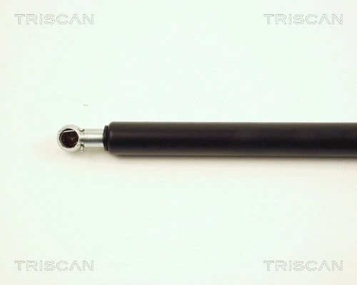 Gas Spring, boot/cargo area