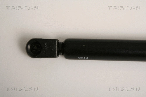 Gas Spring, boot/cargo area