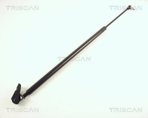 Gas Spring, boot/cargo area (8710 50202)